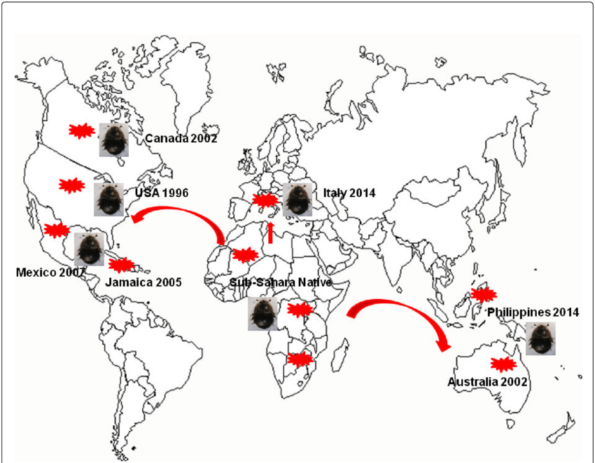 Distribution map of small hive beetle habitat