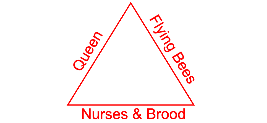 Image showing the 3 prerequisites as a triangle